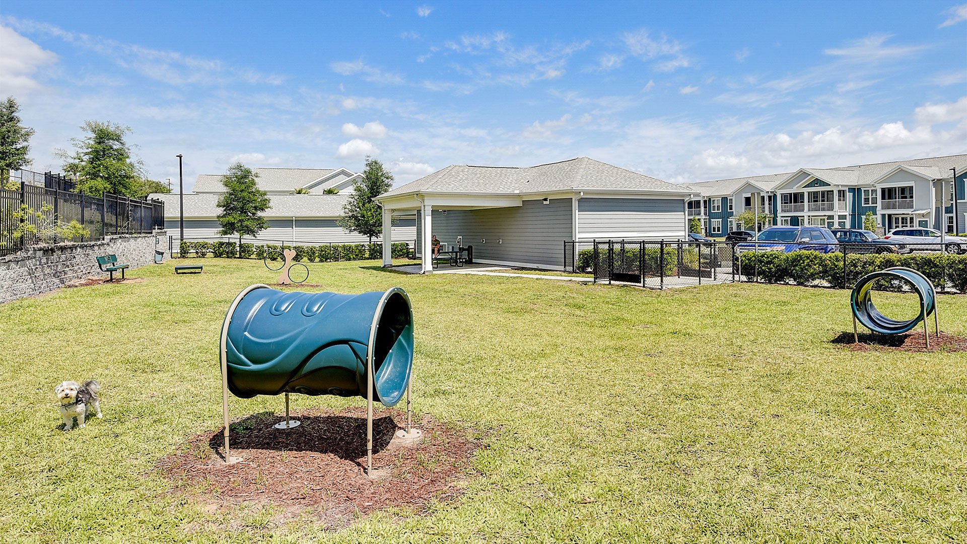 Photos & Virtual Tours Springs at Posner Park Apts